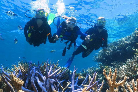 Quicksilver Outer Great Barrier Reef Snorkel Cruise From Palm Cove - Nambucca Heads Accommodation 3