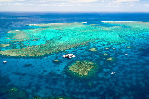 Quicksilver Outer Great Barrier Reef Snorkel Cruise From Palm Cove - Nambucca Heads Accommodation 4