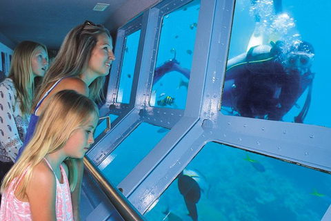 Quicksilver Outer Great Barrier Reef Snorkel Cruise From Port Douglas - Nambucca Heads Accommodation 1