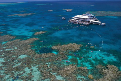 Quicksilver Outer Great Barrier Reef Snorkel Cruise From Port Douglas - Nambucca Heads Accommodation 3