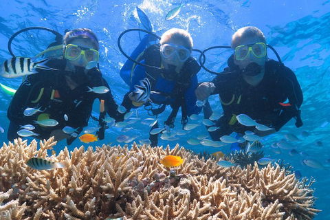 Quicksilver Outer Great Barrier Reef Snorkel Cruise From Port Douglas - Nambucca Heads Accommodation 4