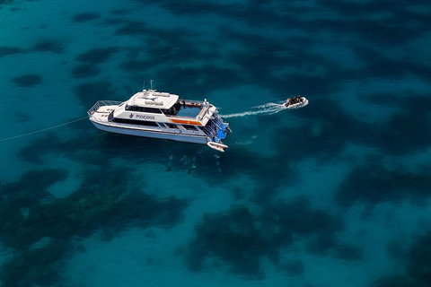 Quicksilver Dive 4 Day PADI Learn To Dive Course - Nambucca Heads Accommodation 1