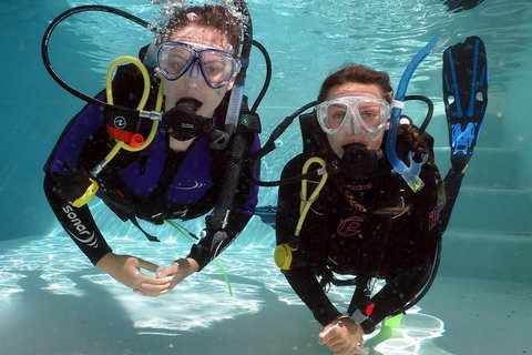 Quicksilver Dive 4 Day PADI Learn To Dive Course - Nambucca Heads Accommodation 2