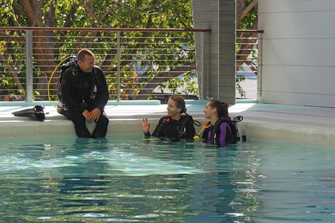 Quicksilver Dive 4 Day PADI Learn To Dive Course - Nambucca Heads Accommodation 3