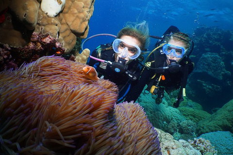 Quicksilver Dive 4 Day PADI Learn To Dive Course - Nambucca Heads Accommodation 4