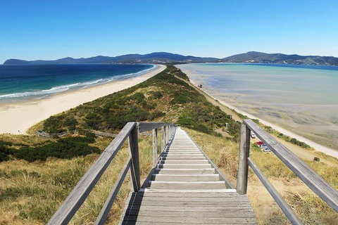 Bruny Island Private Charter Service - Nambucca Heads Accommodation 4