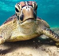 Sail Snorkel SUP  Kayak Charter Whitsundays - Nambucca Heads Accommodation
