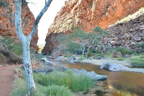 Alice Springs, Uluru Ayers Rock & Kings Canyon 8 Days Touring Package - Nambucca Heads Accommodation 2