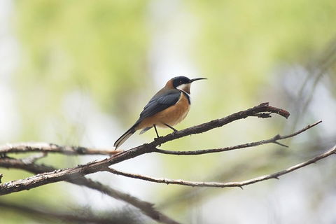 Private Blue Mountains Insider Tour From Sydney - Nambucca Heads Accommodation 2