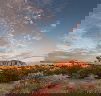 Uluru Kata Tjuta and Kings Canyon Camping Safari from Alice Springs - Nambucca Heads Accommodation