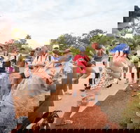 Uluru Kata Tjuta and Kings Canyon Camping Safari from Ayers Rock - Nambucca Heads Accommodation