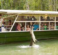 Hartley's Crocodile Adventure Half-Day Tour - Nambucca Heads Accommodation