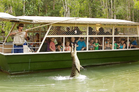 Hartley's Crocodile Adventure Half-Day Tour - Nambucca Heads Accommodation 0