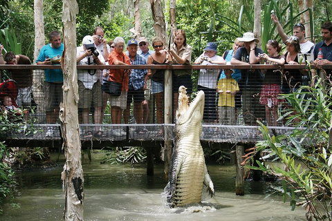 Hartley's Crocodile Adventure Half-Day Tour - Nambucca Heads Accommodation 1