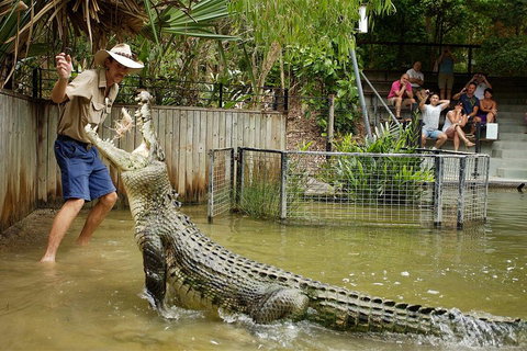 Hartley's Crocodile Adventure Half-Day Tour - Nambucca Heads Accommodation 2