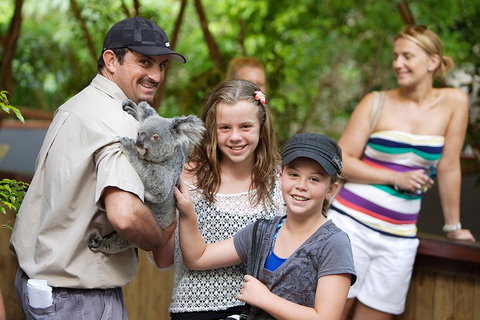 Hartley's Crocodile Adventure Half-Day Tour - Nambucca Heads Accommodation 3