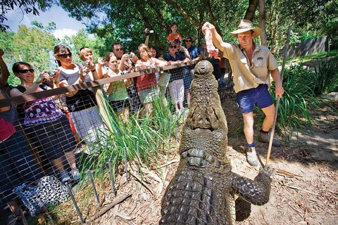 Hartley's Crocodile Adventure Half-Day Tour - Nambucca Heads Accommodation 4