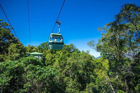 Skyrail Rainforest Cableway Day Trip From Cairns - Nambucca Heads Accommodation 1