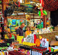 Kuranda Scenic Railway Day Trip from Cairns - Nambucca Heads Accommodation