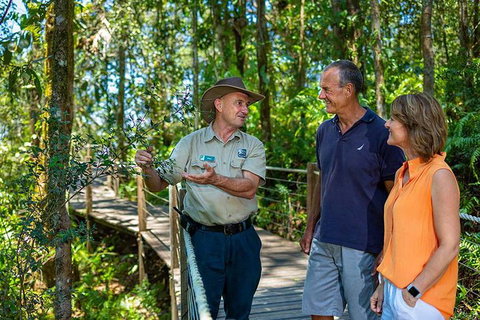 Kuranda Scenic Railway Day Trip From Cairns - Nambucca Heads Accommodation 1