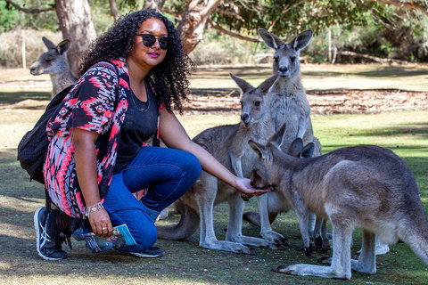 3-Day Tasmania Combo: Hobart To Launceston Active Tour - Nambucca Heads Accommodation 5