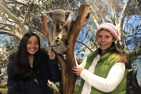 Australia Multi-City Attractions Pass - Nambucca Heads Accommodation 3