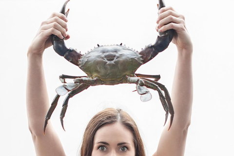 The Ultimate Gold Coast Attractions Pass - Nambucca Heads Accommodation 0