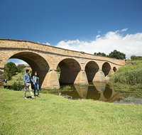 Bonorong Wildlife Park and Richmond Afternoon Tour from Hobart - Nambucca Heads Accommodation