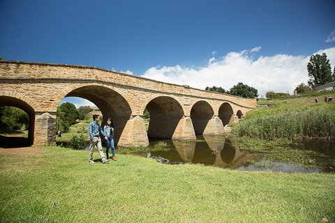 Bonorong Wildlife Park And Richmond Afternoon Tour From Hobart - Nambucca Heads Accommodation 0
