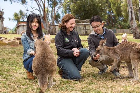 Bonorong Wildlife Park And Richmond Afternoon Tour From Hobart - Nambucca Heads Accommodation 1