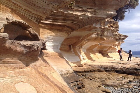Hobart Minibus Full-Day Private Tour - Nambucca Heads Accommodation 0
