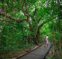 Green Island Eco Adventure from Cairns - Nambucca Heads Accommodation