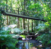 Double Pack-Ancient Rainforest and Waterfalls - Nambucca Heads Accommodation