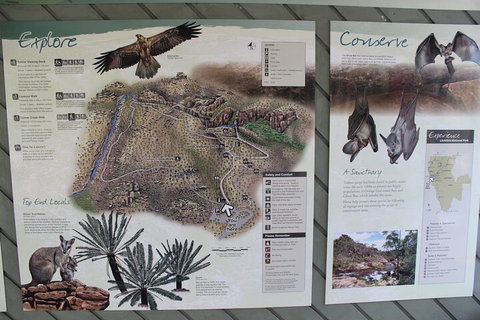 Jumping Crocodile Cruise And Berry Springs Nature Park - Nambucca Heads Accommodation 2