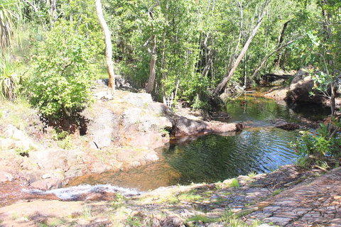 Jumping Crocodile Cruise And Berry Springs Nature Park - Nambucca Heads Accommodation 3