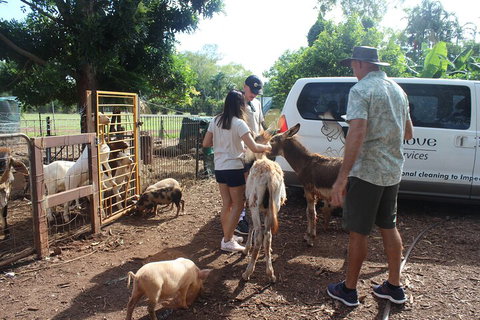 Jumping Crocodile Cruise And Berry Springs Nature Park - Nambucca Heads Accommodation 4