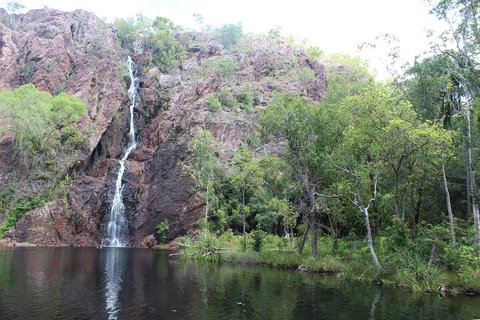 Jumping Crocodile Cruise And Berry Springs Nature Park - Nambucca Heads Accommodation 5
