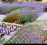 Kangaroo Island Food and Wine Trail Tour - Nambucca Heads Accommodation