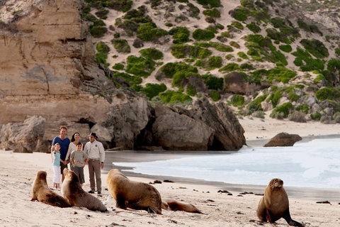 Kangaroo Island Scenic Trail Tour - Nambucca Heads Accommodation 5