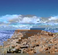 4 Day Tour Albany Margaret River Valley of the Giants TreeTop Walk from Perth - Nambucca Heads Accommodation