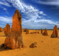 Pinnacles Desert  New Norcia Day Tour from Perth - Nambucca Heads Accommodation