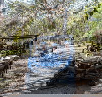 Small-Group Buggy Tour at Little Sahara with Guide - Nambucca Heads Accommodation