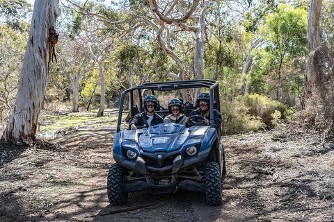 Small-Group Buggy Tour At Little Sahara With Guide - Nambucca Heads Accommodation 0