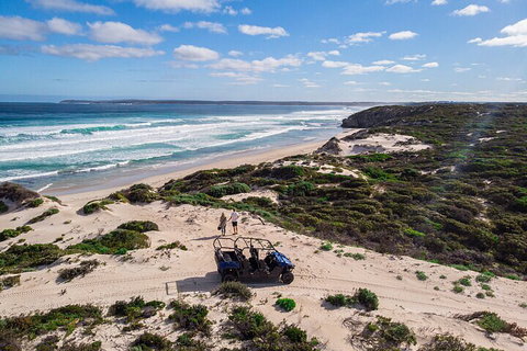Small-Group Buggy Tour At Little Sahara With Guide - Nambucca Heads Accommodation 1