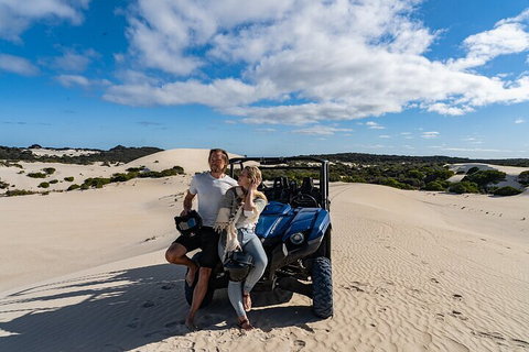 Small-Group Buggy Tour At Little Sahara With Guide - Nambucca Heads Accommodation 2