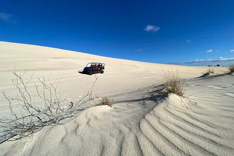 Small-Group Buggy Tour At Little Sahara With Guide - Nambucca Heads Accommodation 3