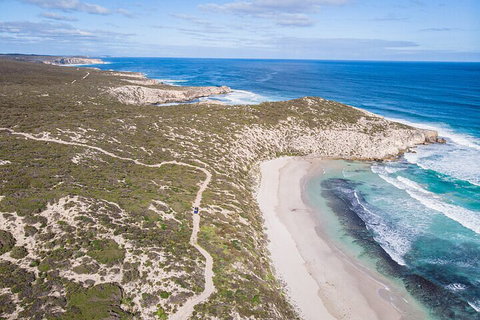 Small-Group Buggy Tour At Little Sahara With Guide - Nambucca Heads Accommodation 4
