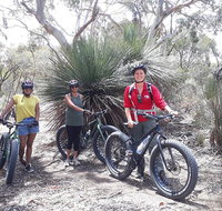 2 Hour Bike Tour in Kangaroo Island - Nambucca Heads Accommodation