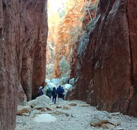 West MacDonnell Private Tour with Transfer - Nambucca Heads Accommodation