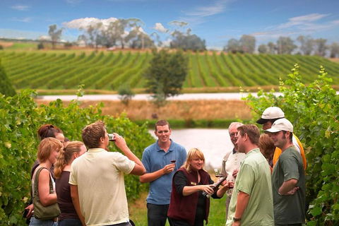 Yarra Valley Wine And Winery Tour From Melbourne - Nambucca Heads Accommodation 0